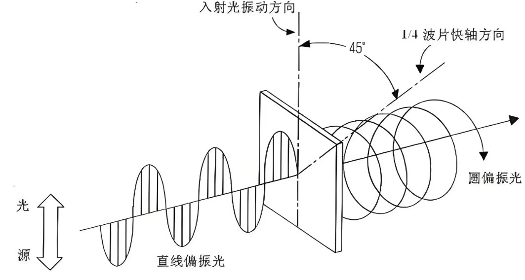 光的偏振