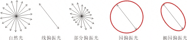 什么是偏振光？偏振光是如何完成檢測的？