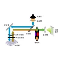 什么是熒光定量PCR、數(shù)字PCR？