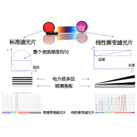 線性漸變?yōu)V光片是什么？有何特點？