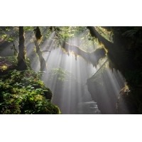 光的干涉、衍射、折射、反射、散射